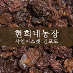 현희네농장 샤인머스캣 건포도 건샤인 건망고포도 100g 전국택배가능 : 배스트농장