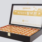 종근당건강 우황청심환 황보환 3.75gX60환 원기보환 부모님건강선물 상견례선물 : 어니버스