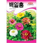 백일홍 씨앗 종자 혼합 꽃씨 몰 봄 여름 가을 꽃씨 : 모두싹판다
