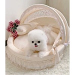 강아지 고양이 침대 요람 공주풍 원목침대 쿠션 호텔 : B-bay