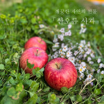 청송 사과 산오름 꿀사과 햇부사 산지직송 5kg 10kg : 산오름상회