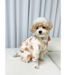 댕댕이 강아지올인원패딩 4온스 경량패딩 강아지방한복 S : 멍베베