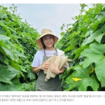 국산 천연수세미 이유식수세미 : 팜투에코