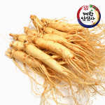 풍기인삼 5년근 6년근 영주 대한인삼사 인삼 원수삼 난발삼 세척 명절 선물세트 750g : 대한인삼사