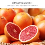 꽃샘 허니자몽블랙티 800g 10개(1박스) : 유니 공간