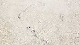 투명뿔테안경테 R2-108 클리어 남녀공용 49사이즈 코받침있는 아넬형 뿔테안경 : 안경센터