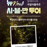 [쿠알라룸푸르] 포유말레이시아 직영 상품 New시.블.반 투어 (시티+블루티어+반딧불+야경) : 포유말레이시아
