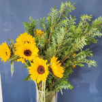 생화 화훼장식기능사 재료 편백나무 한단 농장직송 : 데일리꽃