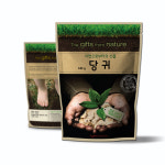 당귀 140g 올바론 자연재료 국산 100% : 피그마마
