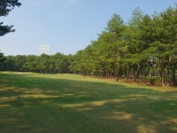 고품격 미아쟈키 쉐라톤 호텔 피닉스CC 톰왓슨CC 골프패키지 : 블루밍숍