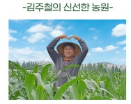 신선한농원 절임배추 20kg : 블루헤븐
