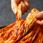 전라도청년 당일제조 전라김치 배추 김치 포기 김장 1kg 전라도식 : 전라도청년