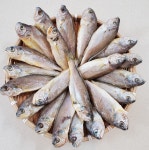 청정바다에서 갓 잡아올린 반건조 참조기 500g 10미내외 : 솔직한농부