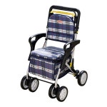 뉴웰 고급 다용도 강화알루미늄 대형 실버 보행카 F-800 (견고한내구성/넓은시트) : 수의료기