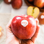 충남 예산 고당도 특품 엔비 사과 3kg, envy : 오투팜 스토어