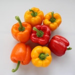 지지팜 파프리카 1KG 2KG 지리산 운봉 고랭지 직접 재배 : 지지팜 파프리카