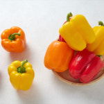 지지팜 파프리카 산지직송 5kg 프리미엄 가정용 빨강노랑 : 지지팜 파프리카