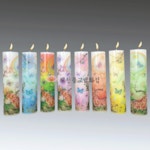 ★소원성취★국산초,원백나비수전사초,나비초 - 색상 7가지 : 제천불교백화점