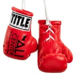 타이틀 미니 복싱글러브 / 권투 킥복싱 UFC MMA 키링 : 주드몰