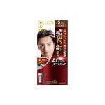 살롱드 프로 EX 남성 헤어 매니큐어 (흰머리용) 5내츄럴브라운 : japanseller