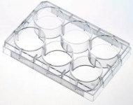 VWR Cell Culture Plate (세포 배양 플레이트) : 투원바이오 주식회사