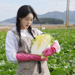 호떡이네 해남 20kg 절인 절임 배추 : 고먼생