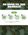 [미더덕조합]창원 진동 미더덕 5kg (냉동) : 미더덕영어조합법인