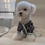 강아지디가디건 니트 겨울옷 명품견 : 도그도그샵