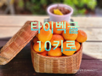 타이벡감귤10kg : 귤향원