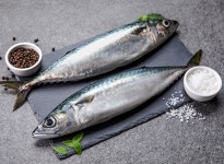 [우수깡] 제주 수산물 은빛갈치, 고등어, 참조기 : 우수깡