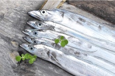 [우수깡] 제주 수산물 은빛갈치, 고등어, 참조기 : 우수깡