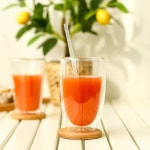 사탕수수빨대 생분해 친환경 빨대 스트로우 : 쇼핑1스푼