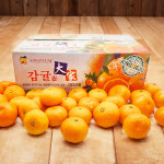 [제주직송] 고당도 노지감귤 중대과 5kg 가정용 과일선물 푸른농원 : 제주다움몰
