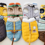 강아지 패딩 하네스 애견겨울옷 시즌4베이지 S : 나나네스토어