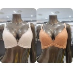 [갤러리아] 2종택1 원더핏 퍼팩트 에어오일 브라(70B,A~D컵) WBWBR3J48T(타임월드) : 갤러리아백화점