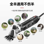 전동 양털 가위 동물 털 자르는 기계 바리깡 목장 농장 : 글로벌바이어즈