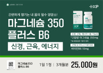 마그네슘350mg + B6 3개월분 부정맥에 좋은 음식 영양제 : 양지건강약방