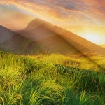 풍경 패브릭포스터 가림막 그림 커튼액자 : 다니샵.