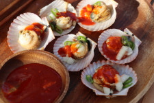 통영 홍가리비 1kg 비단 세척 대왕 제철 선별 캠핑 조개구이 : 산지 밥상