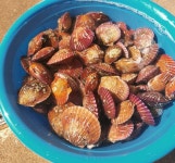 통영 홍가리비 1kg 비단 세척 대왕 제철 선별 캠핑 조개구이 : 산지 밥상