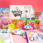 스낵왕 여아용 여자 아이들간식 선물세트 꾸러미 20개입 : 스낵왕