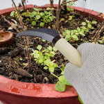 잡초 제거기 스테인리스 스틸 제거 낫 수동 잔디 칼 마당 테라스 진입로 포장 파티오 야채 : 엠엔제이22