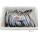 꽁치 전용 염장 선상 밑밥 텐빈 갈치 고등어 미끼 낚시 다잡아 미끼용 바다 학꽁치lmn0 : 샵프리D