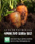무농약 작은 당근 주스용 10kg : 제주 에코밸리 농장