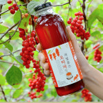 문경 자일로스 오미자청 원액 500ml : 자연미소
