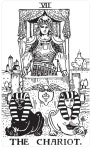 블랙 앤 화이트 타로카드 Black White Rider Waite Tarot Deck : 샤똥타로상점