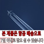 컴퓨터 의자 게이밍 의자 pc방 의자 공부의자 : 더블유케이더샵