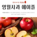 영월사과 에이플 햇부사 사과 5kg[GAP] : 강원도 NO.1 신선농산물