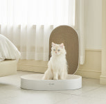 펫초이스 와이드 스크래쳐 고양이 수직 쇼파 대형 : 펫초이스