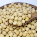 수입 백태 메주콩 콩국수용 두유콩 5kg, 1개 : 힘찬농부오달봉